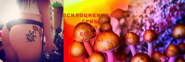 мяу мяу мука Заволжск